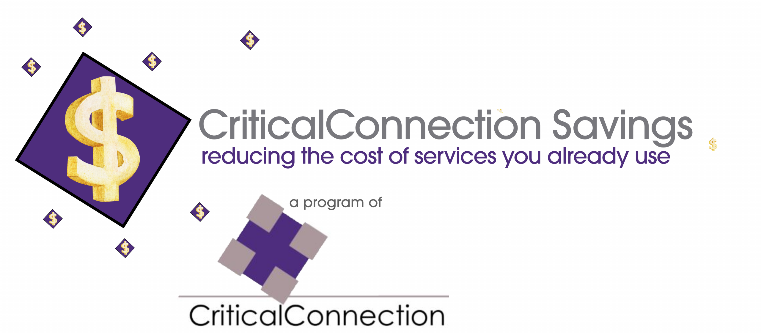 Critical Connection Savings Program